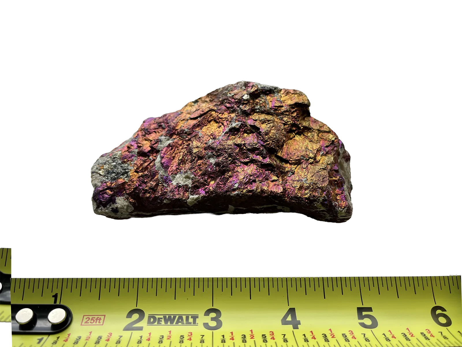 The Gilded Apparition dimensions