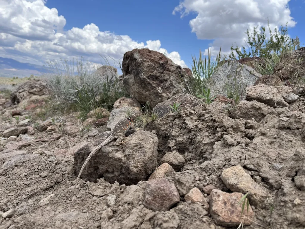 Eric Dean Photography