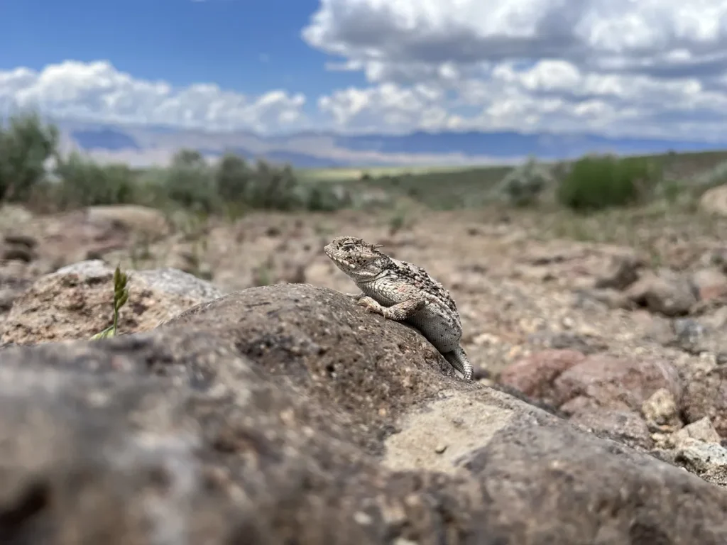 Eric Dean Photography