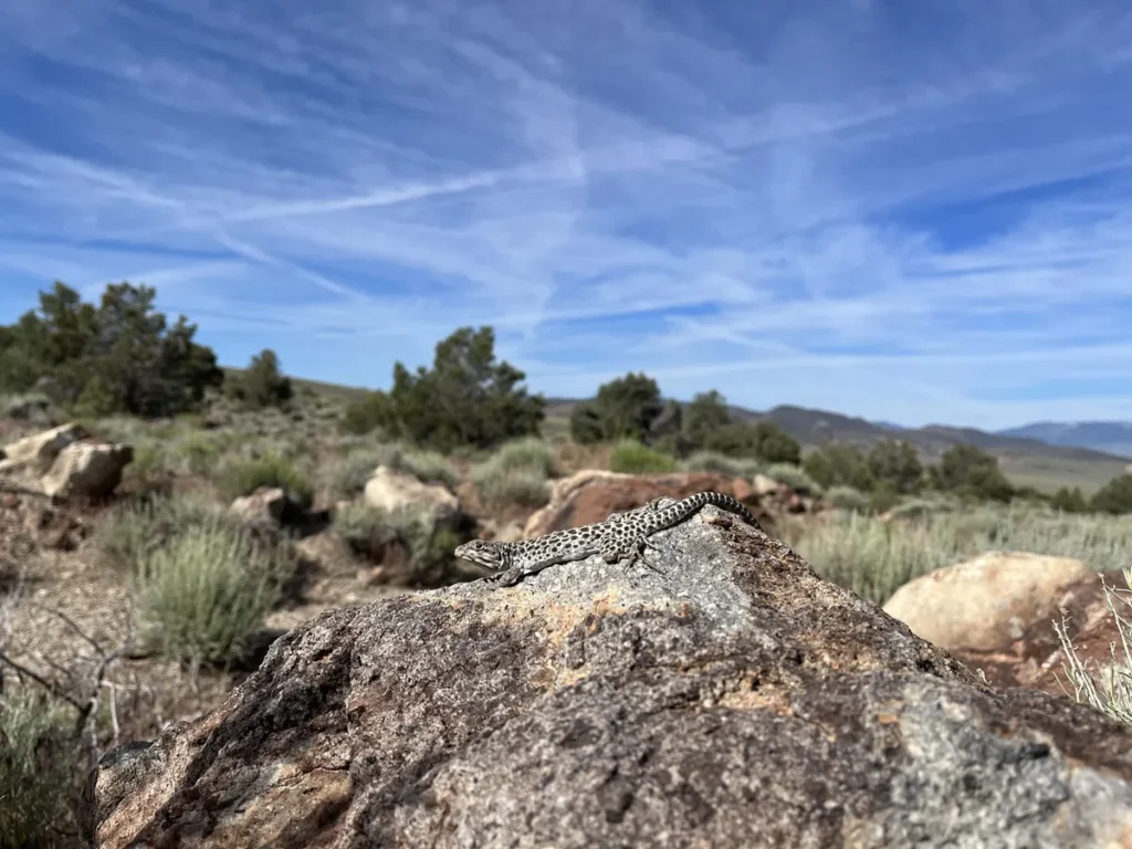 Eric Dean Photography