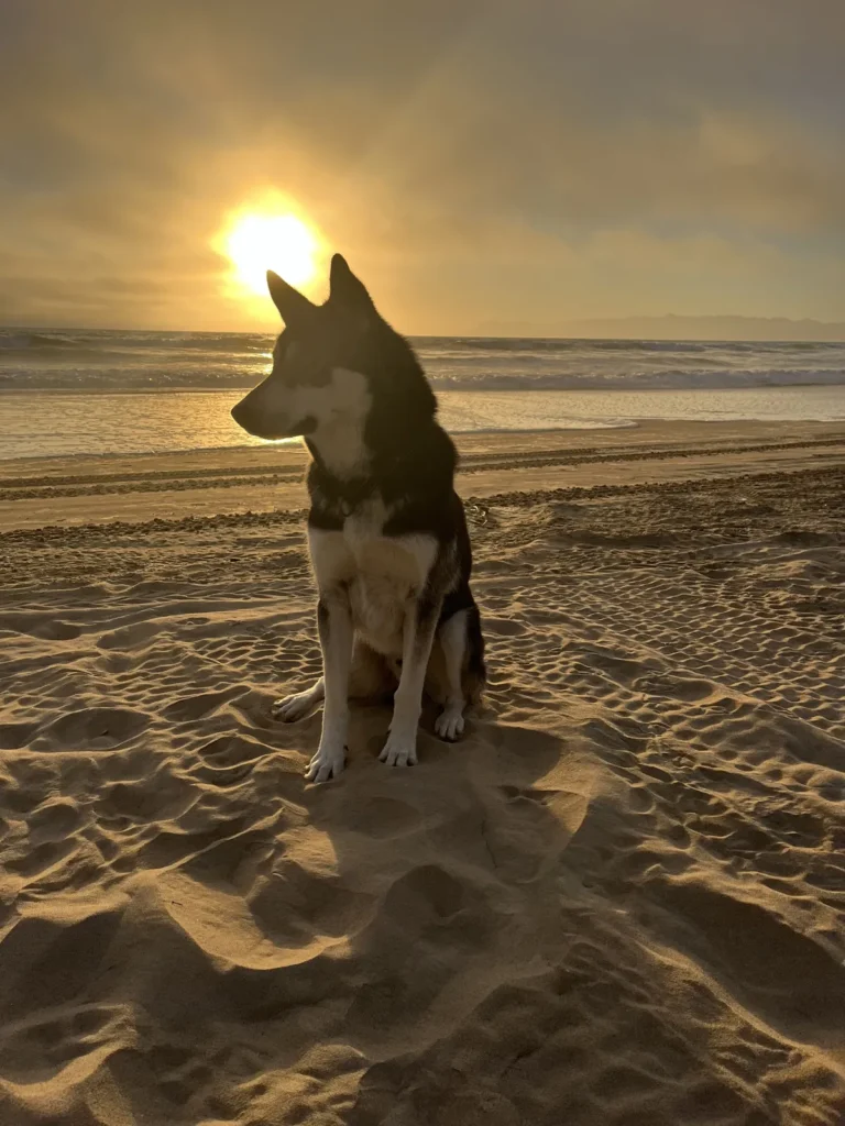 Eric Dean Photography